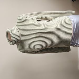 Turtleneck